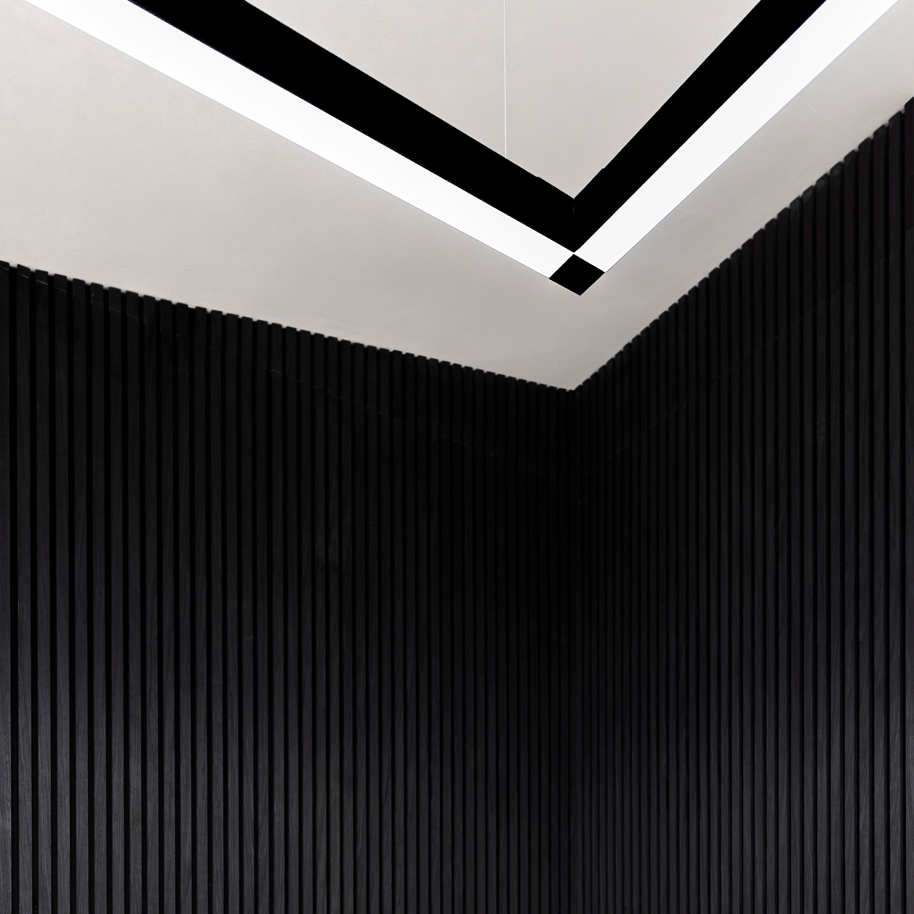 In-slat™ Acoustic Panel - Black Oak